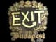 Sticker | exit (Gold) | Budapest 2025 CS2 skin