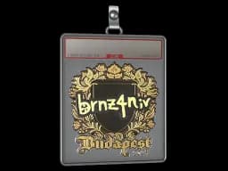 Sticker Slab | brnz4n (Gold) | Budapest 2025