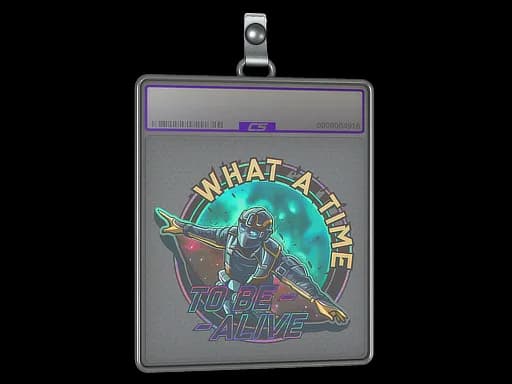 Sticker Slab | Wingsuit (Holo)