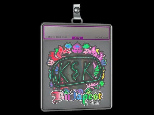 Sticker Slab | kyousuke (Holo) | Budapest 2025