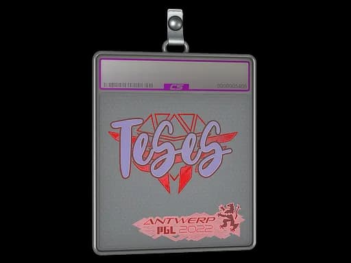 Sticker Slab | TeSeS (Holo) | Antwerp 2022