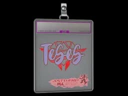 Sticker Slab | TeSeS (Holo) | Antwerp 2022