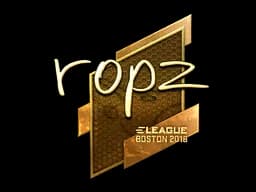 ropz - CS2 Skin Prices