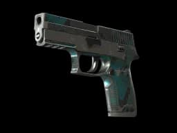 StatTrak™ P250 | Ripple (Battle-Scarred)