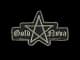 Patch | Metal Gold Nova I CS2 skin