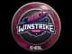 Sticker | Winstrike Team | Katowice 2019 CS2 skin