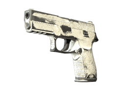 P250 | Whiteout (Battle-Scarred)