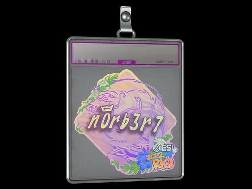 Sticker Slab | n0rb3r7 (Holo) | Rio 2022