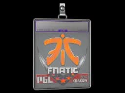 Sticker Slab | Fnatic (Holo) | Krakow 2017