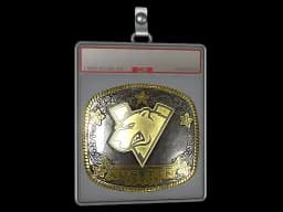 Sticker Slab | Virtus.Pro (Gold) | Austin 2025