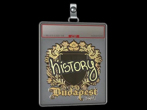 Sticker Slab | History (Gold) | Budapest 2025