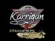 Sticker | karrigan (Champion) | Antwerp 2022 CS2 skin