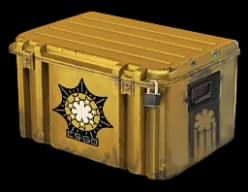 Chroma 2 Case - CS2 Skin Prices