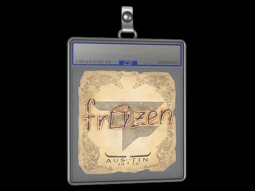 Sticker Slab | frozen | Austin 2025
