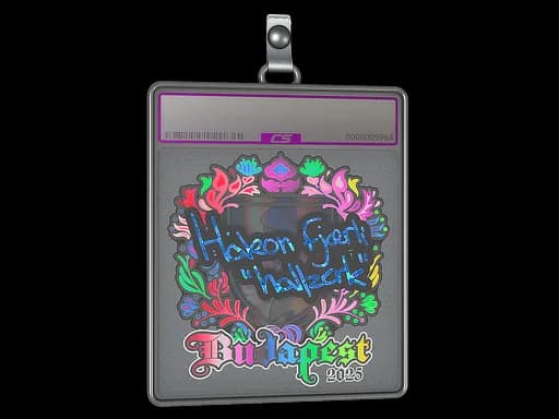 Sticker Slab | hallzerk (Holo) | Budapest 2025