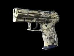 Souvenir P2000 | Granite Marbleized (Well-Worn)