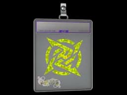 Sticker Slab | Ninjas in Pyjamas (Glitter) | Paris 2023