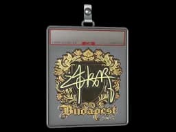 Sticker Slab | z4KR (Gold) | Budapest 2025