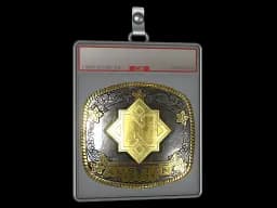 Sticker Slab | Nemiga (Gold) | Austin 2025