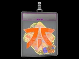 Sticker Slab | Fnatic (Holo) | Rio 2022