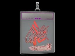 Sticker Slab | gxx- (Holo) | Antwerp 2022