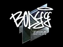 Sticker | bodyy (Foil) | Boston 2018