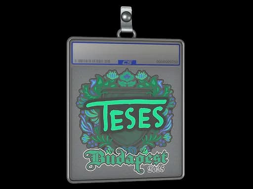 Sticker Slab | TeSeS | Budapest 2025