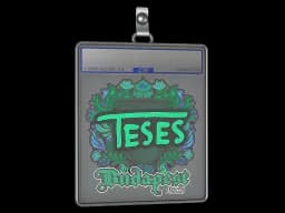 Sticker Slab | TeSeS | Budapest 2025