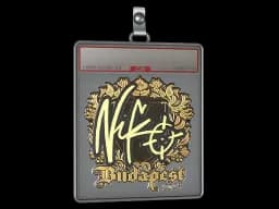 Sticker Slab | NiKo (Gold) | Budapest 2025