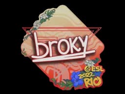 brokyRio 2022 - CS2 Skin Prices