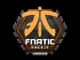 Sticker | Fnatic | London 2018 CS2 skin