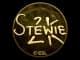 Sticker | Stewie2K (Gold) | Katowice 2019 CS2 skin