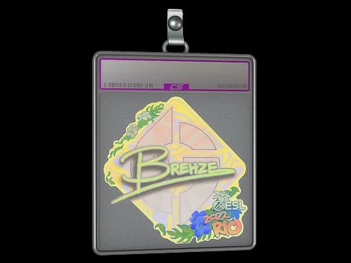 Sticker Slab | Brehze (Holo) | Rio 2022