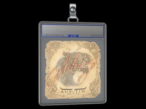 Sticker Slab | molodoy | Austin 2025