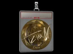 Sticker Slab | tiziaN (Gold) | Katowice 2019