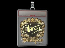 Sticker Slab | L1haNg (Gold) | Budapest 2025