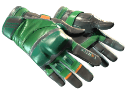 ★ Moto Gloves | Turtle (Field-Tested)