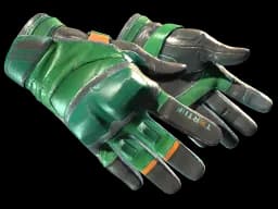 ★ Moto Gloves | Turtle CS2 skin