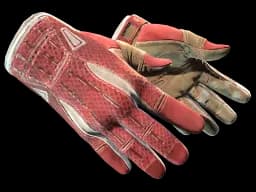 ★ Sport Gloves | Slingshot CS2 skin