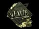 Sticker | vexite (Gold) | Rio 2022 CS2 skin