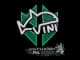 Sticker | VINI | Antwerp 2022 CS2 skin