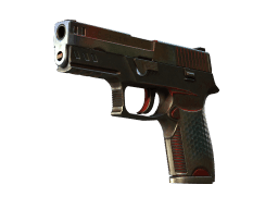 P250 | Cyber Shell (Battle-Scarred)