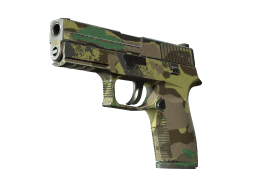 P250 | Boreal Forest (Field-Tested)
