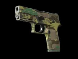 P250 | Boreal Forest CS2 skin