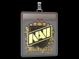 Sticker Slab | Natus Vincere (Gold) | Budapest 2025
