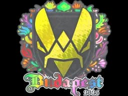 Sticker | Vitality (Holo) | Budapest 2025