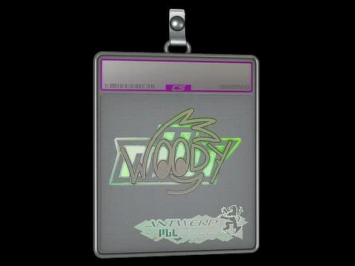 Sticker Slab | WOOD7 (Holo) | Antwerp 2022