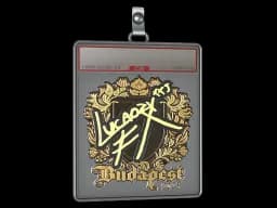 Sticker Slab | Lucaozy (Gold) | Budapest 2025