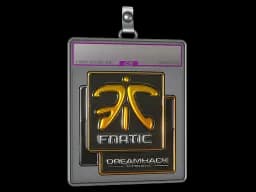 Sticker Slab | Fnatic (Foil) | DreamHack 2014