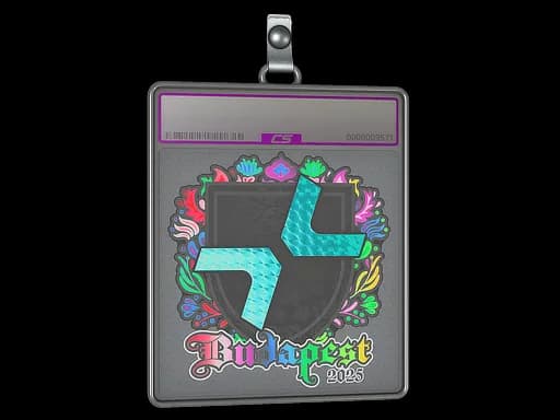 Sticker Slab | PARIVISION (Holo) | Budapest 2025